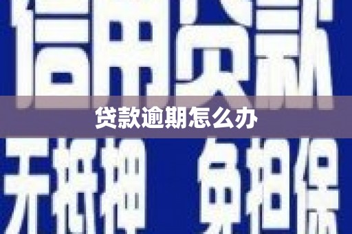 丰润贷款逾期怎么办