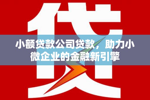 青河小额贷款公司贷款，助力小微企业的金融新引擎