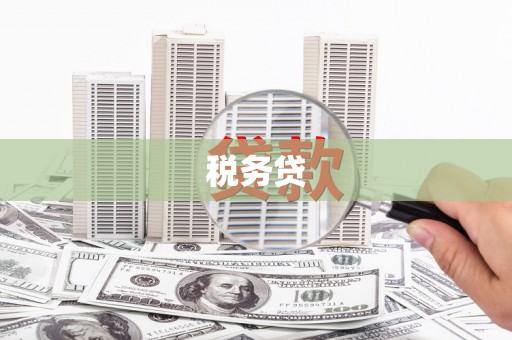天祝税务贷