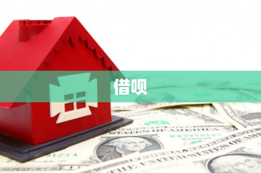 罗山借呗