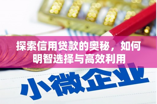 海原探索信用贷款的奥秘，如何明智选择与高效利用