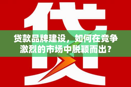 苍南贷款品牌建设，如何在竞争激烈的市场中脱颖而出？