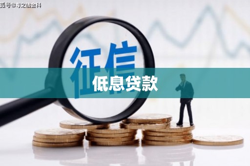 景东低息贷款