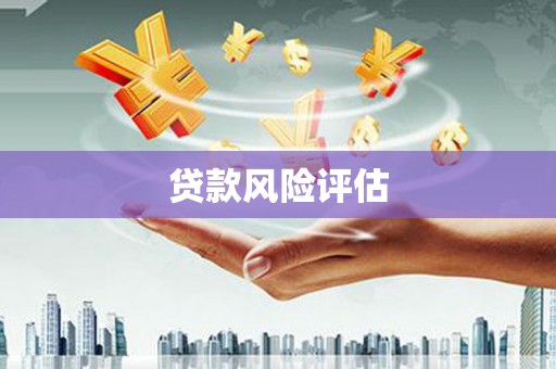 阿莲贷款风险评估