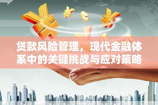 若尔盖贷款风险管理，现代金融体系中的关键挑战与应对策略