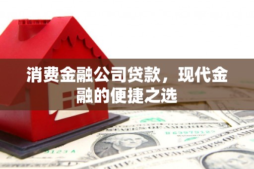 麦寮消费金融公司贷款，现代金融的便捷之选