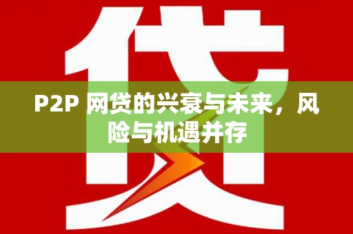 玛沁P2P 网贷的兴衰与未来，风险与机遇并存