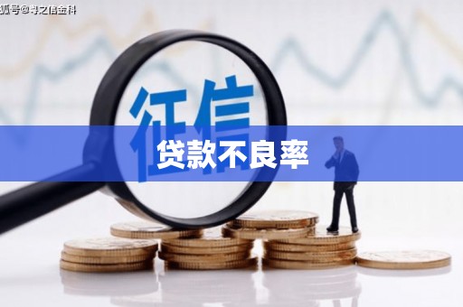 康马贷款不良率