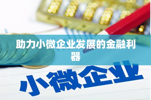 南安助力小微企业发展的金融利器