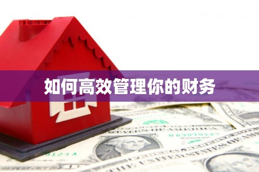 贞丰如何高效管理你的财务