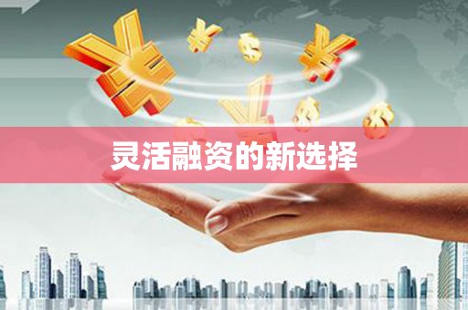 八德灵活融资的新选择