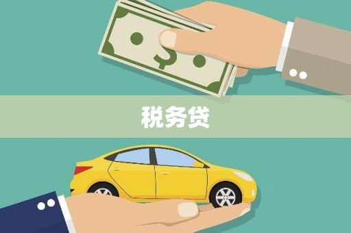 漠河税务贷